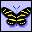 Butterfly01