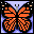 Butterfly08