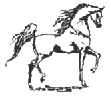 a horse